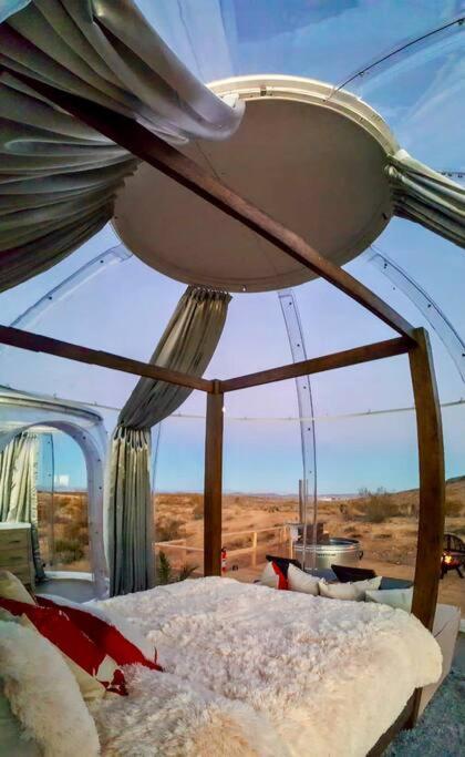 Jthavn-Joshua Tree Remote Dessert Bubble Dome Dış mekan fotoğraf